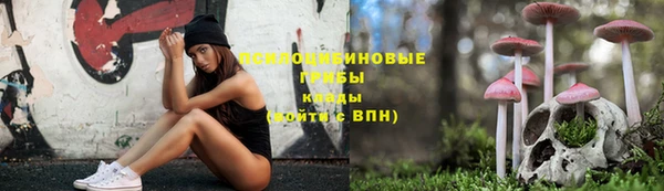 каннабис Абаза