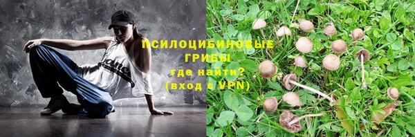 каннабис Абаза